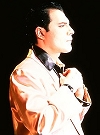 Freddie Mercury: stardom and decadence