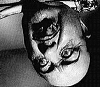Touch of Psycho?: Orson Welles� Influence on Hitchcock