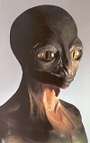 Alien Abductions and Reptilian Humanoids