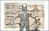 Leonardo da Vincis Robots - original plans from the master himself