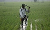 UN warns of a threat to political stability and worldwide unrest due to hiking food prices