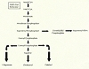 Dangers of Statin Drugs: What You Havent Been Told