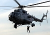 India�s Terrorism Dilemma