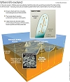 Was our oldest ancestor a proton-powered rock?