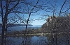 196 acres of primordial </B>forest on Manhattan Island