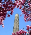 An Obelisk for Central Park - the history of Cleopatras Needle