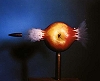 Harold Edgerton: high-speed photography expert and pioneer