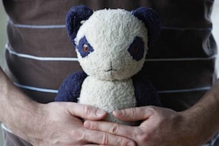 teddy-main-image